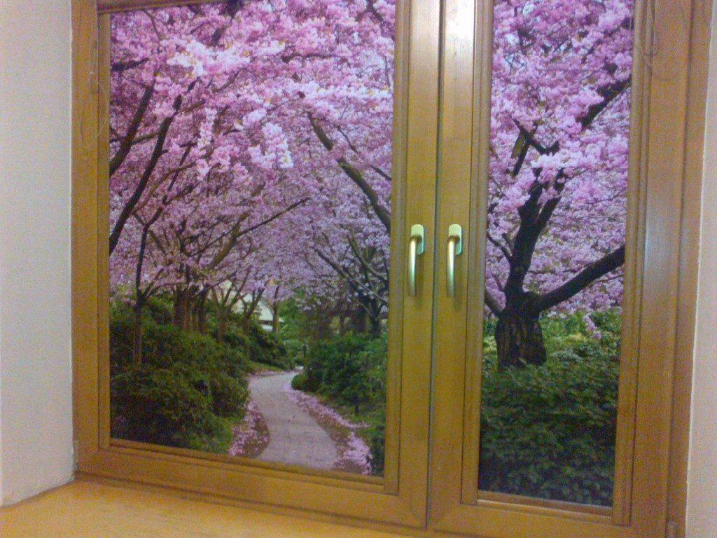 Рулонные шторы с изображением цветущего сада